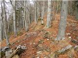 Bašelj - Planina Kališče